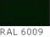 RAL 6009